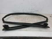 Dichtung Windschutzscheibe / A-Säule PEUGEOT 207 CC (WD_) 1.6 16V FL 88 KW 9632121780