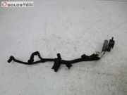 Kabel Kabelbaum Glühkerzen DV6TED4 9H01 CITROEN BERLINGO II (B9) 1.6 HDI 110 80 KW 9653805580