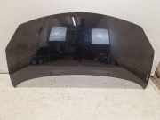 Motorhaube Schwarz RENAULT TWINGO II (CN0) 1.2 16V 56 KW