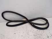 Türdichtung Türgummi Karosserie vorne rechts TOYOTA PRIUS (W3) 1.8 HYBRID 73 KW