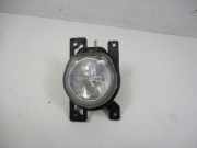 Nebelscheinwerfer rechts FIAT DOBLO CARGO CORTO SX 1.3 MJET E5+ (263) 66 KW 00518143960