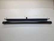 Laderaumabdeckung Kofferraumrollo Trennnetz Trennwand HONDA CIVIC VIII HATCHBACK (FK, FN) 2.2 CTDI 103 KW