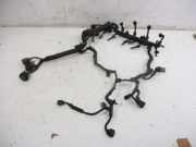 Kabel Motor Motorkabelbaum N22A2 HONDA CR-V III (RE) 2.2 I-CTDI 4WD 103 KW 32110-R06-E004
