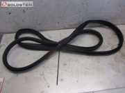 Dichtung Türdichtung Karosseriedichtung vorne links FORD C-MAX II 1.6 TI 92 KW