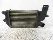 Ladeluftkühler FIAT DUCATO BUS (230) 2.5 D COMBINATO 62 KW 1319508