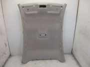 Himmel Hellgrau RENAULT LAGUNA III (BT0/1) 2.0 16V 103 KW