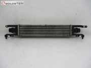 Ladeluftkühler Turbokühler OPEL CORSA D 1.3 CDTI 66 KW 55702194~440926702