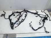 Kabel Motor Motorkabelbaum C15DSOX FORD FOCUS III MK3 TURNIER 1.5 TDCI FACELIFT 88 KW F1FT-12A690-DKE