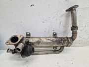 Abgaskühler AGR Kühler BLS VW PASSAT VARIANT (3C5) 1.9 TDI 77 KW 03G131512S