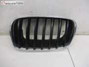 Kühlergrill Niere Links Chrom BMW X5 (E70) 3.0D 173 KW 7171395