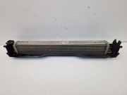 Kühler Ölkühler Motorölkühler N62B48B BMW 7 (E65, E66, E67) 750I, LI LCI 270 KW 7553667/7553667-01/7561843-05/7561843