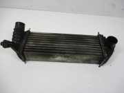 Ladeluftkühler Intercoole RENAULT KANGOO/GRAND KANGOO (KW0/1_) 1.5 DCI 63 KW 8200427469