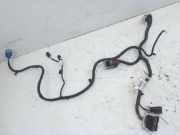 Kabel Motor Motorkabelbaum T25HDEX BGDA FORD KUGA III (DFK) 2.5 DURATEC PHEV 178 KW LX6T-14305-NAGF