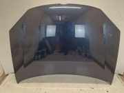 Motorhaube LC5F Bluegraphit Pearl. VW GOLF V VARIANT (1K5) 1.4 TSI 90 KW