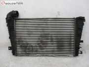 Ladeluftkühler Z19DTH OPEL ZAFIRA B (A05) 1.9 CDTI 110 KW 13223395