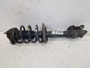 Federbein Stoßdämpfer vorne links 1xgelb 2xweiß HYUNDAI SANTA FE III (DM, DMA) 2.4 GDI 138 KW 546514Z001