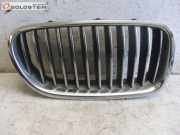 Kühlergrill Frontgrill Chromgrill rechts BMW 5 TOURING (F11) 520D 135 KW 7200728~7261356~7203650