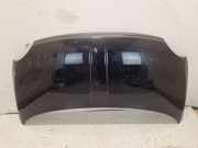 Motorhaube 823 Grigio Sassi Met. FIAT 500 C (312) 0.9 63 KW