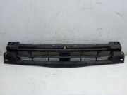 Abdeckung Verkleidung Pralldämpfer Stoßstangenträger Vorne RENAULT TRAFIC II KASTEN (FL) 2.0 DCI 115 84 KW 620300101R