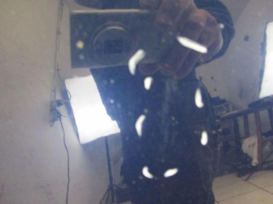 Motorhaube LG5V Royal Navy Perleffekt VW NEW BEETLE (9C1, 1C1) 1.4 55 KW 1C0823031M Bild Motorhaube LG5V Royal Navy Perleffekt VW NEW BEETLE (9C1, 1C1) 1.4 55 KW 1C0823031M