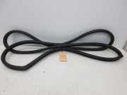 Türdichtung Türgummi Karosserie hinten rechts SUBARU TRIBECA 3.6 190 KW