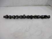 Nockenwelle 25 6T (BMW) M51 M51D25M1 LAND ROVER RANGE ROVER II (LP) 2.5 TD 100 KW STC2137