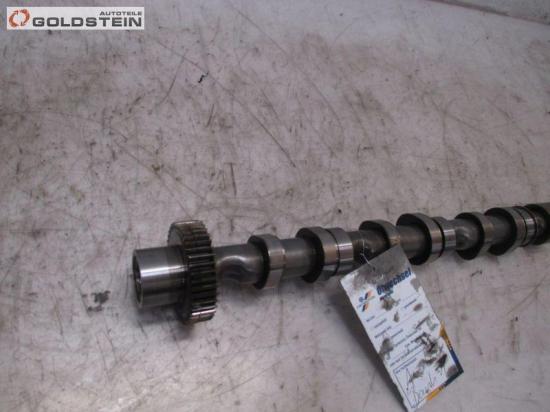 Nockenwelle Auslass Zylinderkopf rechts BKS VW TOUAREG (7LA, 7L6, 7L7) 3.0 V6 TDI 165 KW 53622901/030121115/059101CQ Bild Nockenwelle Auslass Zylinderkopf rechts BKS VW TOUAREG (7LA, 7L6, 7L7) 3.0 V6 TDI 165 KW 53622901/030121115/059101CQ