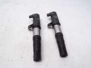 Zündspule 2St. RENAULT CLIO III (BR0/1, CR0/1) 1.6 16V 65 KW R0903S00103/002321