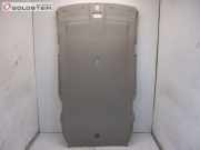 Himmel Dachhimmel Grau NISSAN X-TRAIL (T30) 2.2 DCI 4X4 100 KW 739108H701