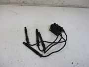 Zündspule Zündspule Zündmodul Zünkabel RENAULT CLIO III (BR0/1, CR0/1) 1.2 16V 55 KW