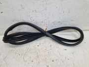 Türdichtung Türgummi Karosserie vorne rechts DACIA SANDERO II 1.0 SCE 75 FACELIFT 54 KW