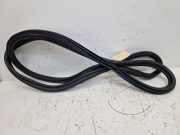 Türdichtung Türgummi Karosserie passend vorne links & rechts BMW X5 (F95, G05) 40I MILD-HYBRID XDRIVE LCI 280 KW 7428678