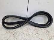 Türdichtung Türgummi Karosserie hinten links MITSUBISHI COLT VII SCHRÄGHECK (VB) 1.0 MPI 67 KW MQ007179