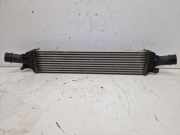 Ladeluftkühler LLK CAEB AUDI Q5 (8RB) 2.0 TFSI QUATTRO 155 KW 8K0145805G