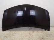 Motorhaube NV676 Noir Nacre Perl RENAULT CLIO III (BR0/1, CR0/1) 1.2 16V 55 KW