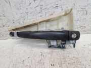 Türgriff rechts hinten Türaußengriff Heckklappe Unlackiert FIAT SCUDO II (270, 272) 2.0 D MULTIJET 100 KW