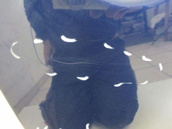 Tür rechts 2-Türer LG5V Royal Navy Perleffekt VW NEW BEETLE (9C1, 1C1) 1.4 55 KW Bild Tür rechts 2-Türer LG5V Royal Navy Perleffekt VW NEW BEETLE (9C1, 1C1) 1.4 55 KW