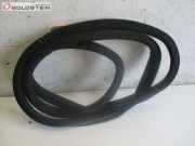 Dichtung Karosseriedichtung Tür hinten links MERCEDES-BENZ S-KLASSE (W221) S 320 CDI 173 KW