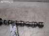 Nockenwelle Auslass Zylinderkopf rechts BKS VW TOUAREG (7LA, 7L6, 7L7) 3.0 V6 TDI 165 KW 53622901/030121115/059101CQ Bild Nockenwelle Auslass Zylinderkopf rechts BKS VW TOUAREG (7LA, 7L6, 7L7) 3.0 V6 TDI 165 KW 53622901/030121115/059101CQ