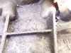 Schaltgetriebe Getriebe 5 Gang F23 Ü=3,95 OPEL ASTRA H CARAVAN (L35) 1.7 CDTI 74 KW Bild Schaltgetriebe Getriebe 5 Gang F23 Ü=3,95 OPEL ASTRA H CARAVAN (L35) 1.7 CDTI 74 KW