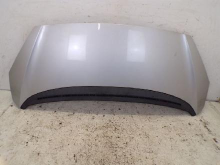 Motorhaube EZR Aluminiumgrau PEUGEOT 1007 (KM_) 1.4 54 KW