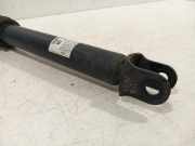 Sto?d?mpfer Rechts Hinten 55307M5000 Hyundai Nexo I Schr?gheck FCEV FWD (FM12) 2019-04