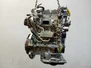 Motor G3LD Hyundai i10 Schrägheck 1.0 12V (G3LD) 2023