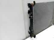Radiator Nissan Primastar Van 2.0 dCi 120 (M9R-782) 2011-04