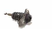 Federbein Rechts Vorne Audi A4 Quattro (B6) Limousine 2.5 TDI V6 Quattro (AKE) 2001-10