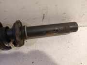 Federbein Rechts Vorne Audi A4 Avant (B9) Kombi 2.0 TDI Ultra 16V (DEUA) 2016