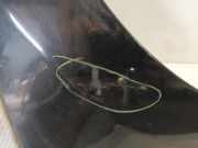 Kotflügel Rechts Vorne Renault Wind (EN/E4) Cabrio 1.2 16V TCE (D4F-782(D4F-K7)) 2010