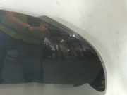 Motorhaube Citroën C3 Picasso (SH) Großraumlimousine 1.6 16V VTI 120 (EP6C(5FS)) 1980