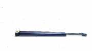 Gasdruckfeder Set Vorne A2217200016 Mercedes-Benz S (W221) Limousine 5.5 S-550 32V (M273.961) 2005-10