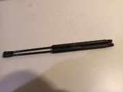 Gasdruckfedern Set Hinten 51785412 Fiat 500 (312) Schrägheck 1.2 (169.A.4000(Euro 5)) 2009
